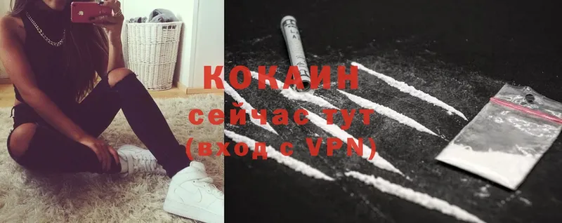 Cocaine 99%  Куса 